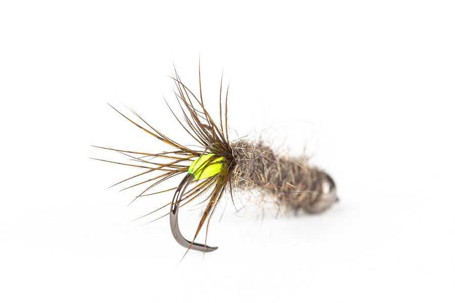 How To Tie A Peeping Caddis (in 5 easy&nbsp;steps)